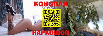 шишки Аша