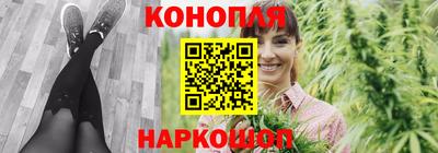 Альфа ПВП Ачхой-Мартан