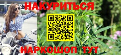 шишки Аша
