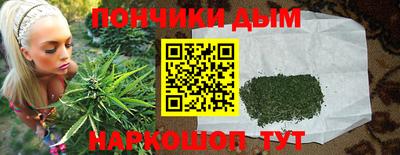 шишки Аша