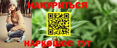 Альфа ПВП Ачхой-Мартан